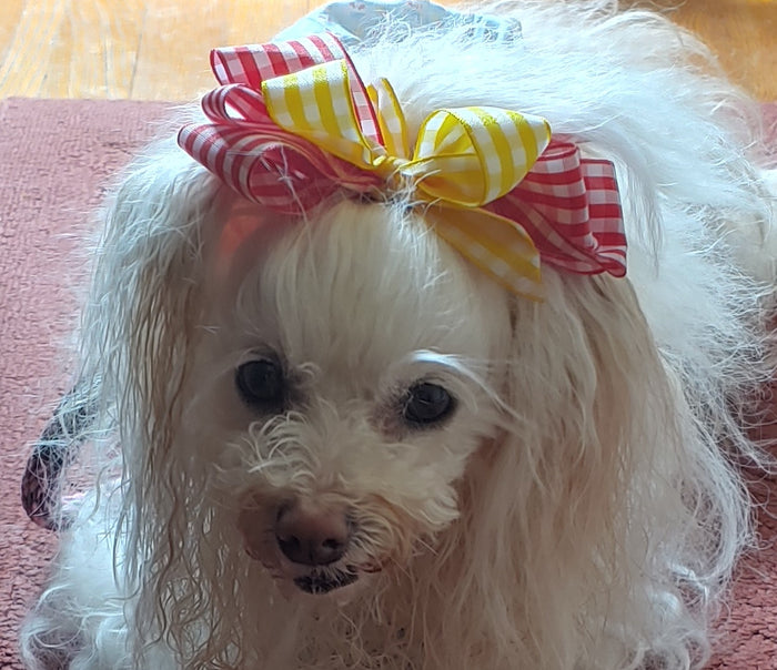 Teacup's Gingham Doggie Hair Bow