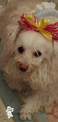 Teacup's Gingham Doggie Hair Bow