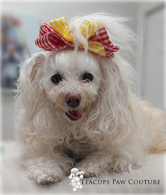 Teacup's Gingham Doggie Hair Bow
