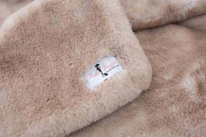 Teddy Bear Blanket