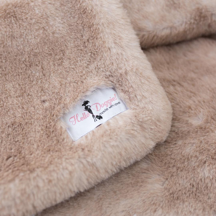 Teddy Bear Blanket