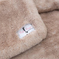 Teddy Bear Blanket