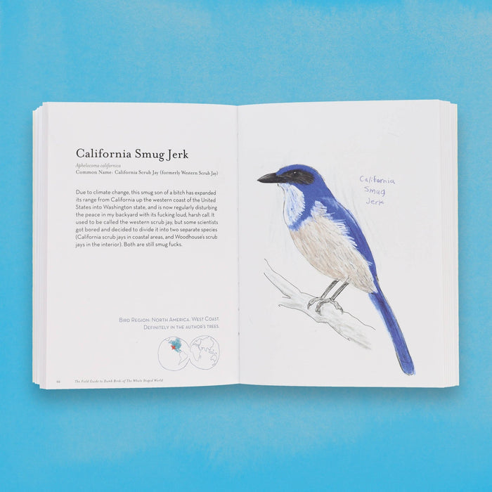 The Field Guide to Dumb Birds of the Whole Stupid World - bubblegum market