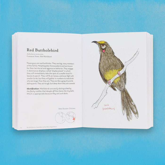 The Field Guide to Dumb Birds of the Whole Stupid World - bubblegum market