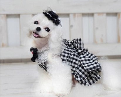 The Gingham & Lace Dog Dress