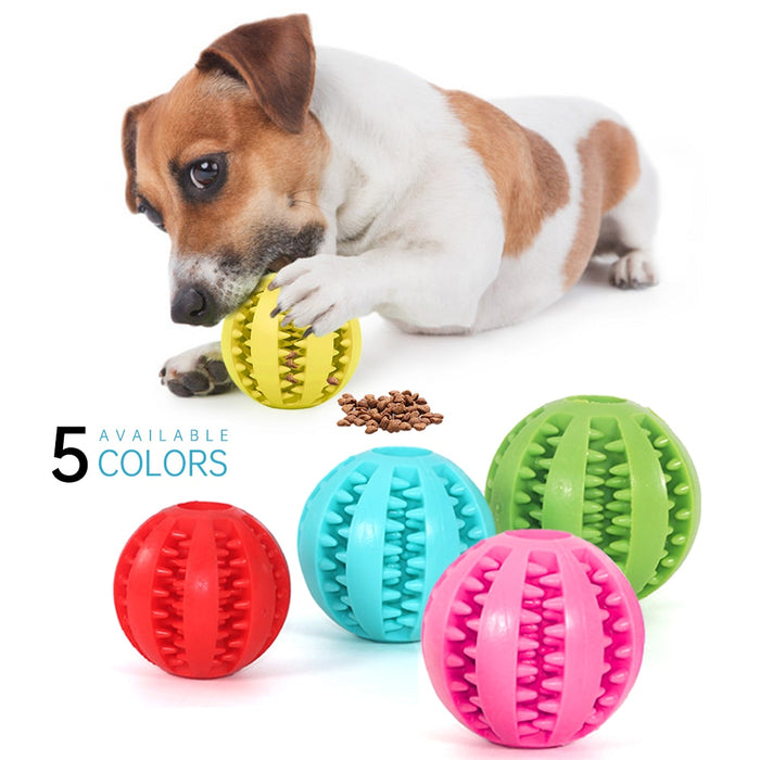 Treatsie Time Interactive Ball