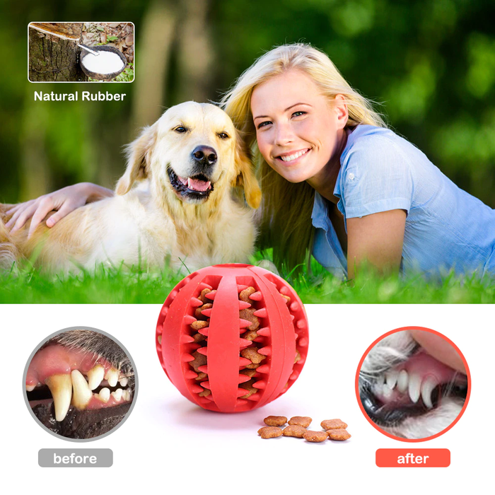 Treatsie Time Interactive Ball