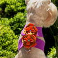 Wendy Flower Tinkie Harness