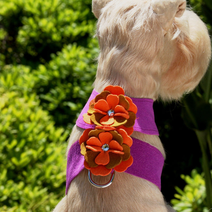 Wendy Flower Tinkie Harness