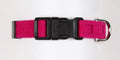 Wine N Roses Quick Release Collar
