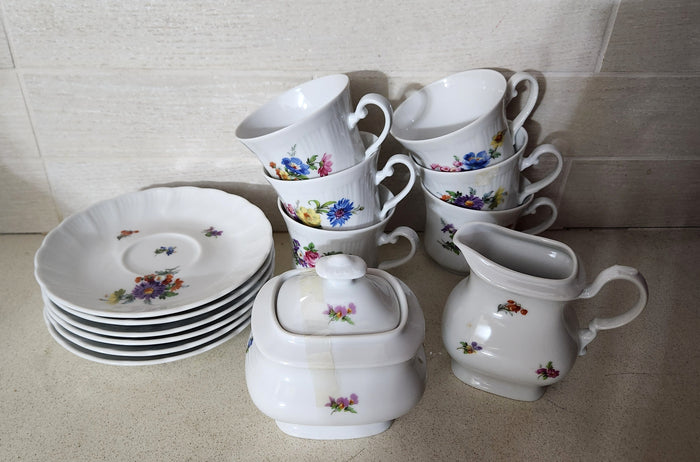 Winterling Kirchenlamitz Bavaria Floral Tea/Coffee Set