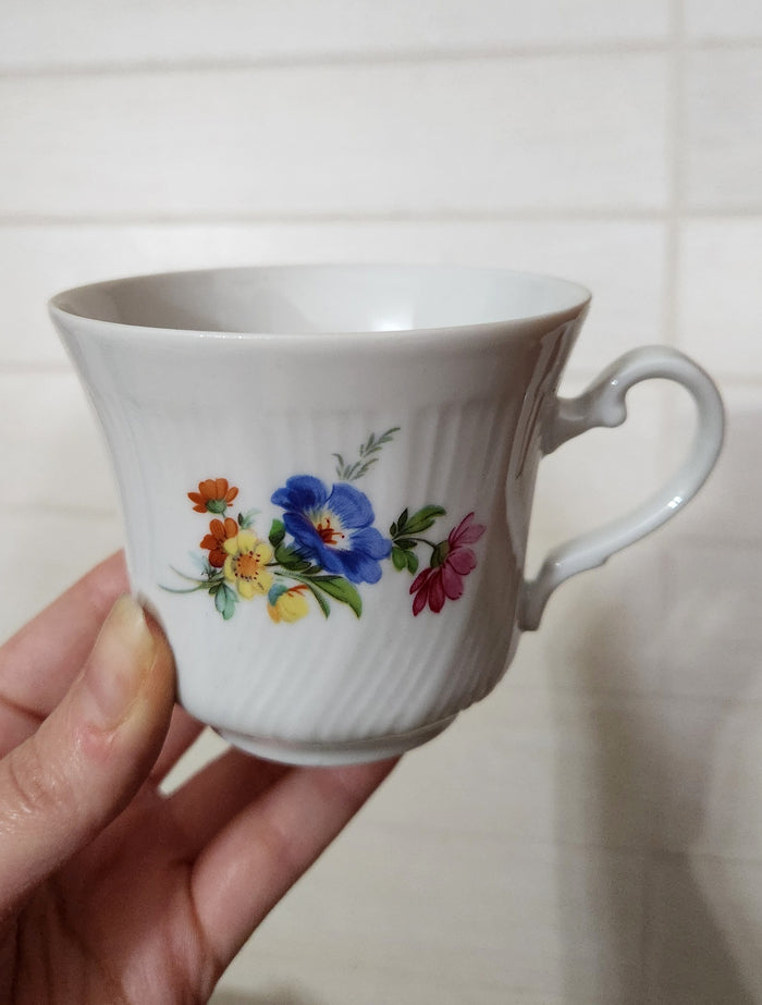 Winterling Kirchenlamitz Bavaria Floral Tea/Coffee Set