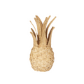Woven Pineapple